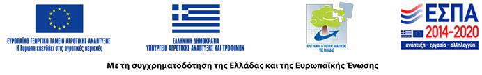 Λογότυπο Ευρωπαϊκής Ένωσης - Χρηματοδότηση